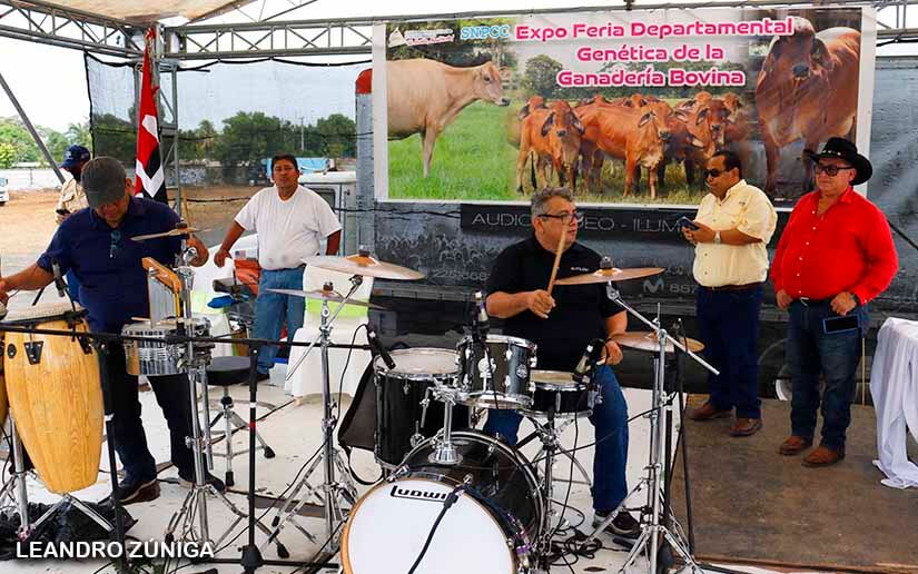 feria-bovina